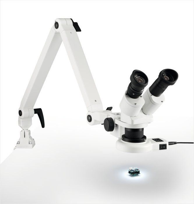 Eschenbach Stereo-Mikroskop 33263